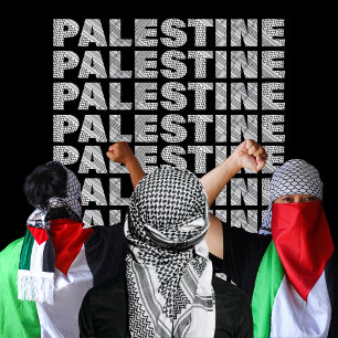 Camiseta Free Palestine In Palestinian Scarf Design  Gaza