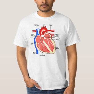 Camiseta Friki de la anatomía del corazón