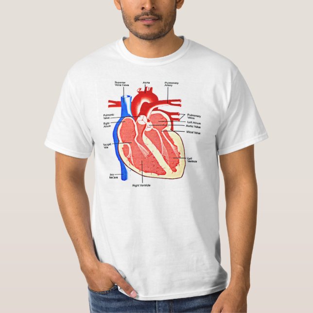Camiseta Friki de la anatomía del corazón (Anverso)