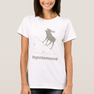 Camiseta Friki de la matemáticas de Hypotemoose