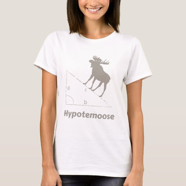 Camiseta Friki de la matemáticas de Hypotemoose (Anverso)