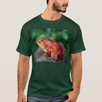 Camiseta frog1_dark/bgrnd