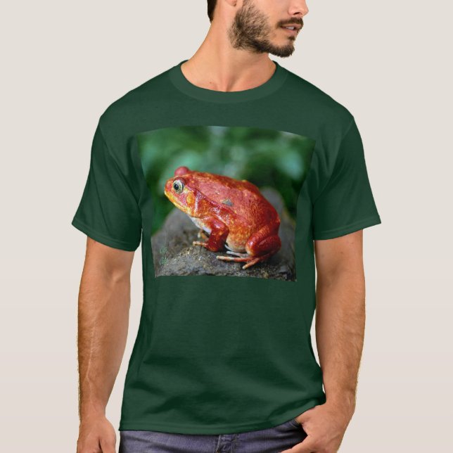Camiseta frog1_dark/bgrnd (Anverso)