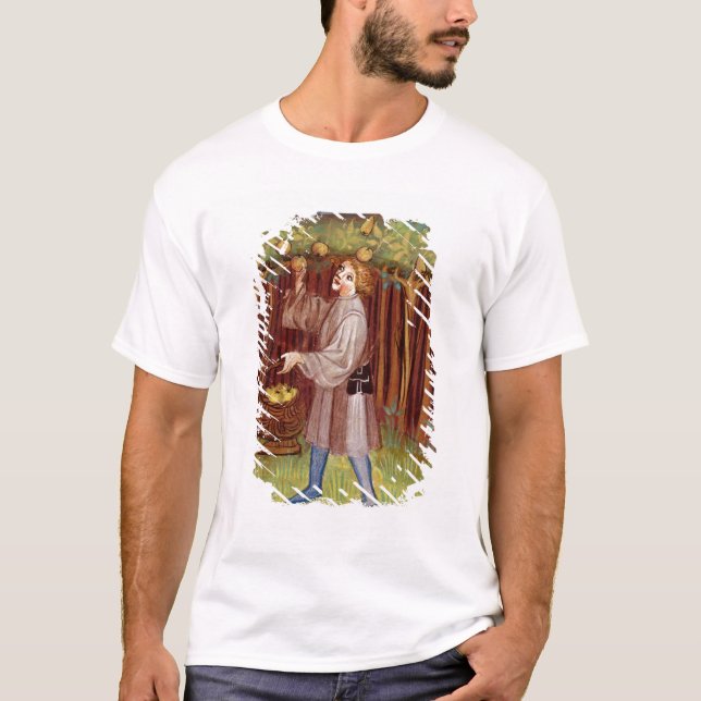 Camiseta Fruta de la cosecha (Anverso)