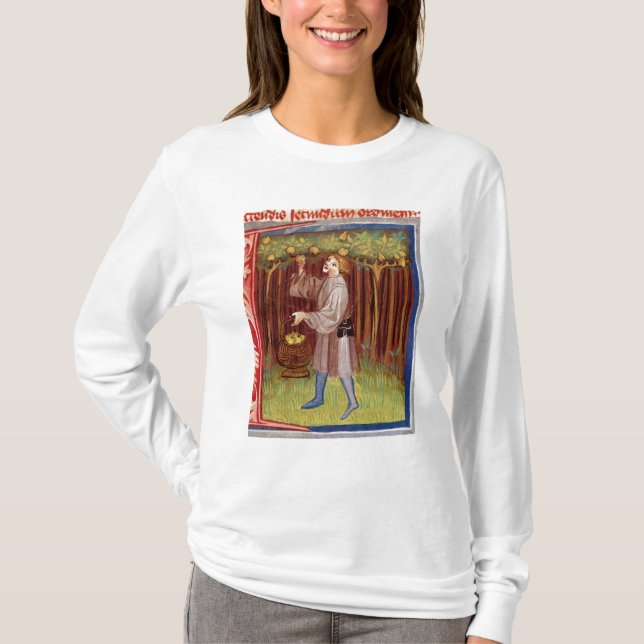 Camiseta Fruta de la cosecha (Anverso)