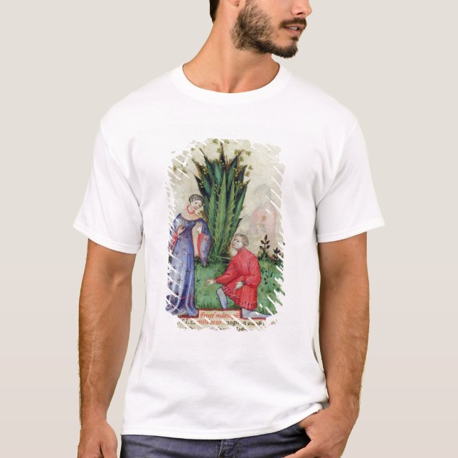 Camiseta Fruta de Mandrake, from Tacuinum Sanitatis (Anverso)