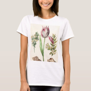 Camiseta Frutas Coloridas