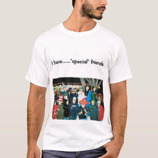 Camiseta fsh