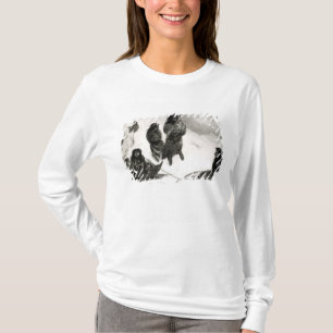 Camiseta Fuegians que va a negociar en Zapallos