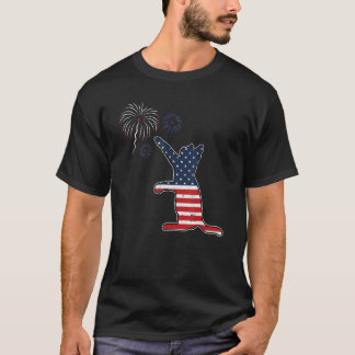 Camiseta Fuegos Artificiales de Gato 4 de Julio Bandera Ame