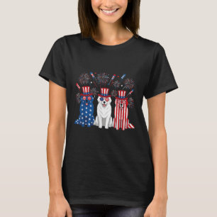 Camiseta Fuegos Artificiales Divertidos Gran Pirineo Bander