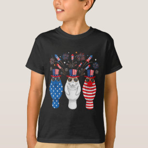 Camiseta Fuegos Artificiales Divertidos Mana Bandera Americ