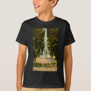 Camiseta Fuente conmemorativa, Central Park, Lansing,