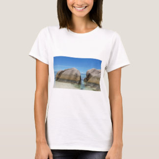 Camiseta fuente del anse d'argent