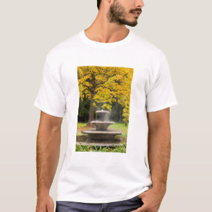 Camiseta Fuente junto a un árbol en otoño, Alemania