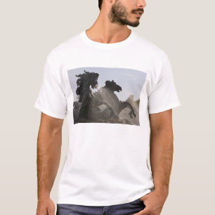 Camiseta Fuente, Monumento a los Girondinos, Burdeos,