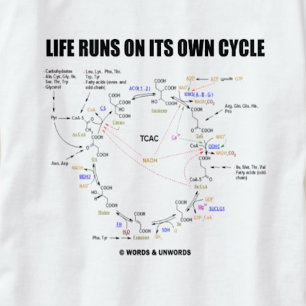 Camiseta Funcionamientos de la vida en su propio ciclo