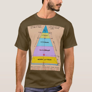 Camiseta "Fundamentales de Fórmula: Edición Física"