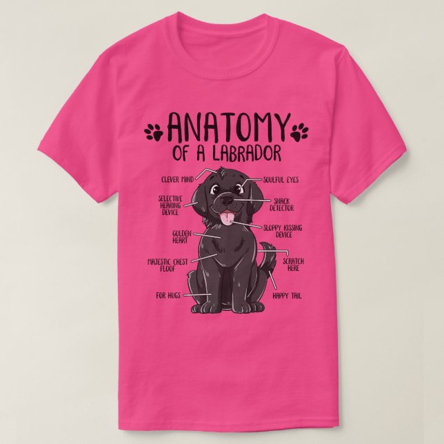 Camiseta Funny anatomía Labrador recuperador negro de perro (Diseño del anverso)