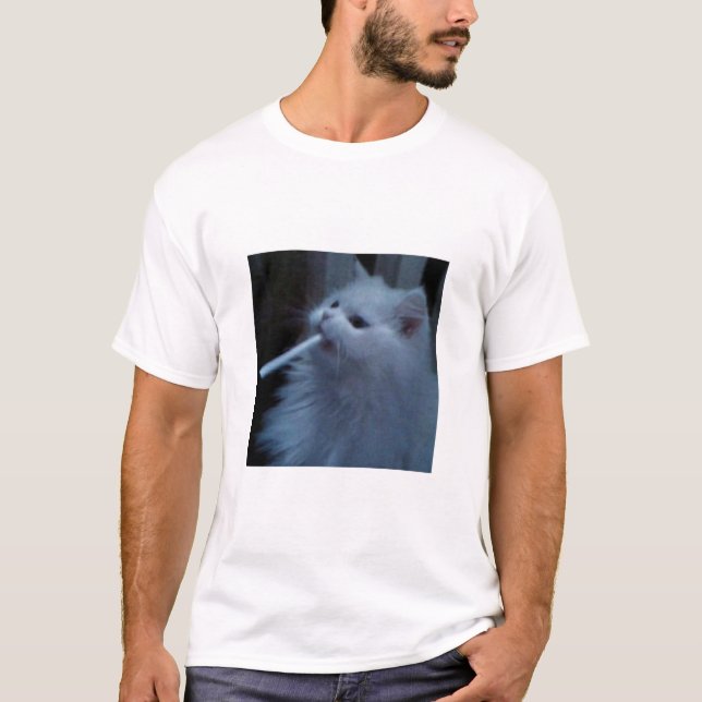 Camiseta funny cat (Anverso)