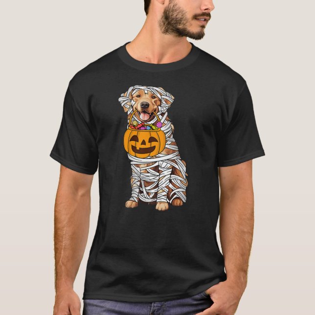 Camiseta Funny Golden Retriever Dog Mummy Halloween Pumpkin (Anverso)