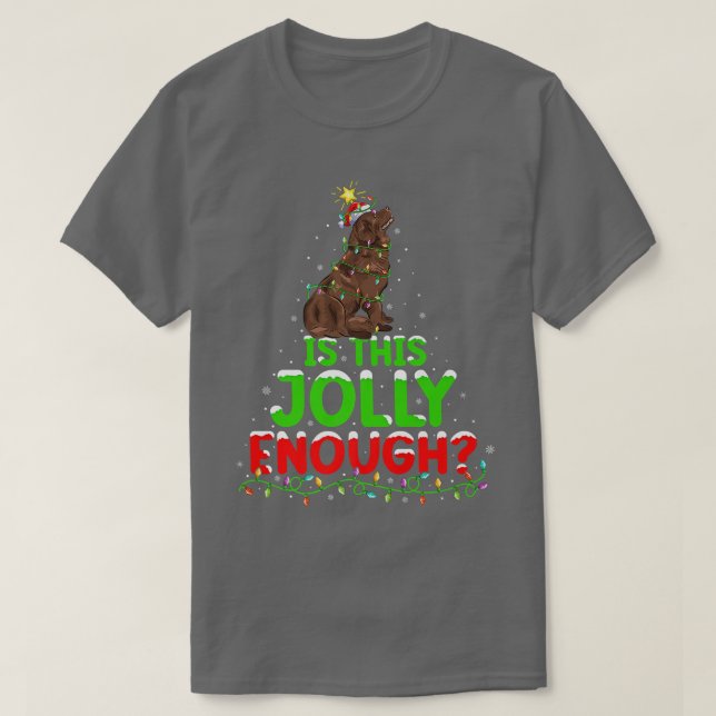 Camiseta Funny Is This Jolly Enough Newfoundland Dog Christ (Diseño del anverso)