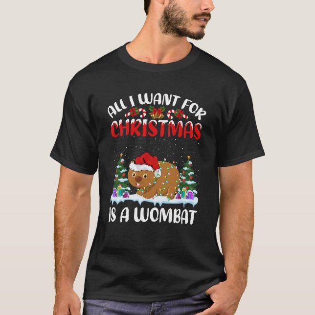 Camiseta Funny Santa Hat Todo lo que quiero de los Navidade (Anverso)