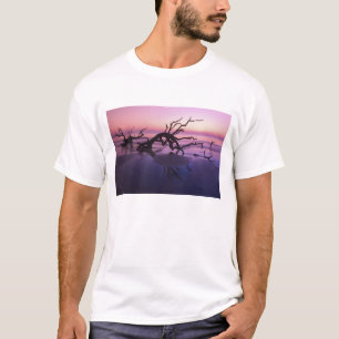 Camiseta GA Isla Jekyll, cementerio de árboles en la playa
