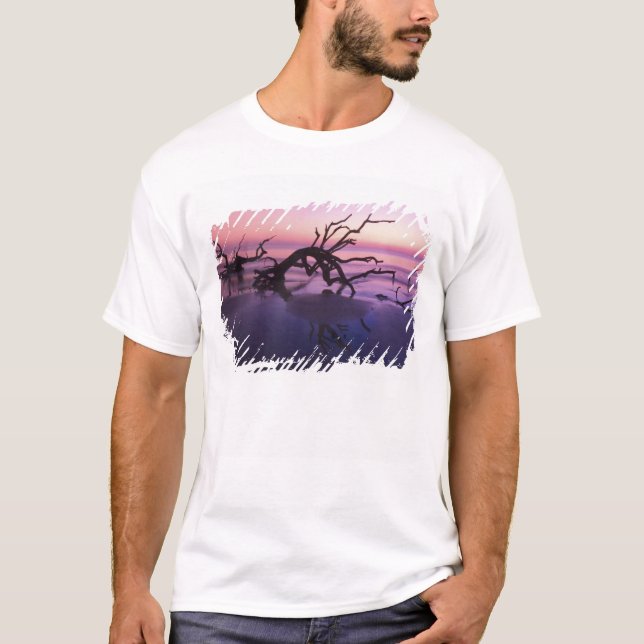 Camiseta GA Isla Jekyll, cementerio de árboles en la playa  (Anverso)