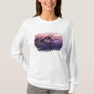 Camiseta GA Isla Jekyll, cementerio de árboles en la playa 