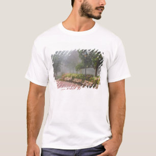 Camiseta GA Savannah, Azaleas a lo largo de la acera de lad