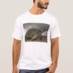 Camiseta Galápagos Gigante Tortoise Geochelone
