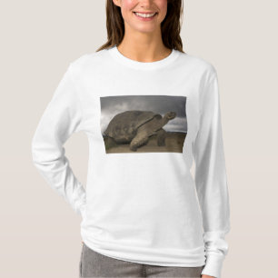 Camiseta Galápagos Gigante Tortoise Geochelone