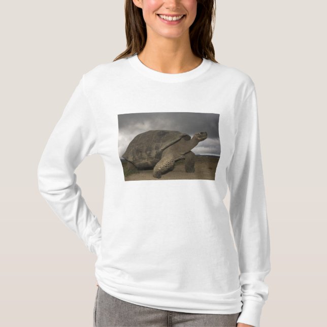 Camiseta Galápagos Gigante Tortoise Geochelone (Anverso)