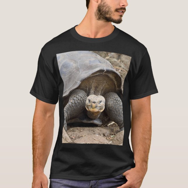 Camiseta Galápagos Tortoise (Anverso)
