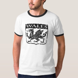 Camiseta Gales