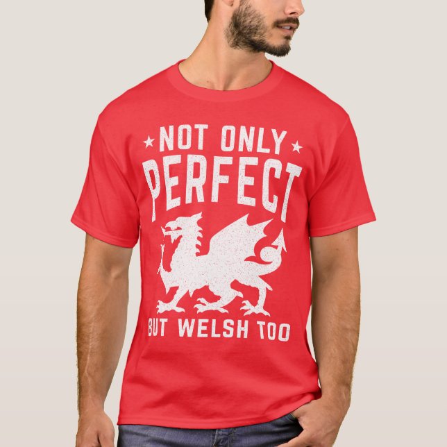 Camiseta Gales No Sólo Perfecto Sino Gales Demasiado Divert (Anverso)