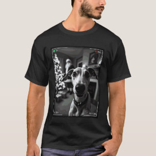 Camiseta Galgo atrapa a Santa en cámara de Navidad