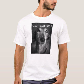 CAMISETA ¿GALGO CONSEGUIDO?