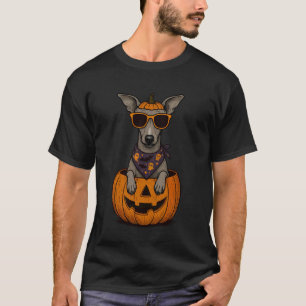 Camiseta Galgo Italiano Espeluznante Calabaza Halloween Igg