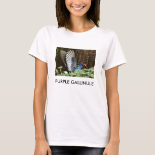 CAMISETA GALLINULE PÚRPURA