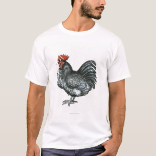 Camiseta Gallo azul de Orpington