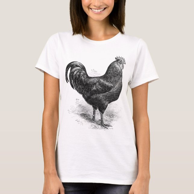 Camiseta gallo negro de Java (Anverso)