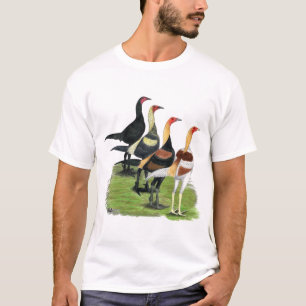 Camiseta Gallos de juego modernos