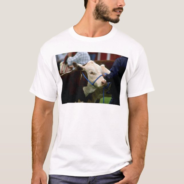 Camiseta Ganado de Hereford (Anverso)