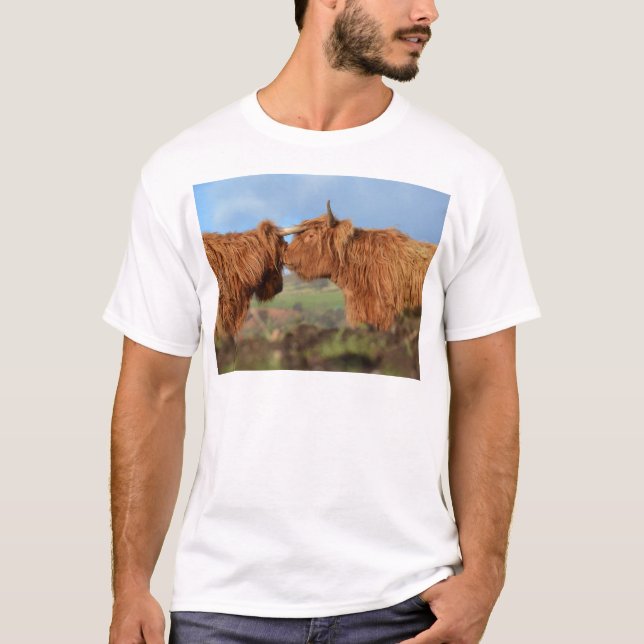 Camiseta Ganado escocés de la montaña (Anverso)