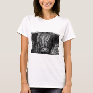 Camiseta Ganado escocés de la montaña - Escocia