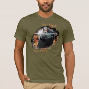 Camiseta Gandalf que usted no pasará