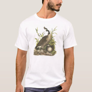 Camiseta Ganso de Canadá por Audubon