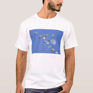 Camiseta Gansos de nieve despegan el vuelo en Freezeout Lak